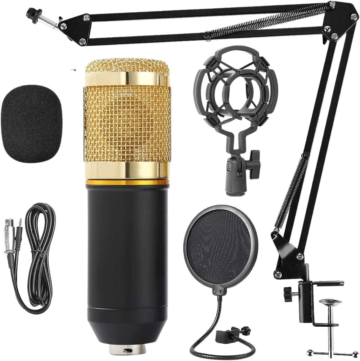 Kit Microfone BM800